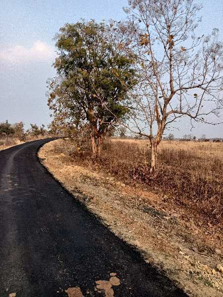 11 Acre Agricultural/Farm Land for Sale in Hingna, Nagpur