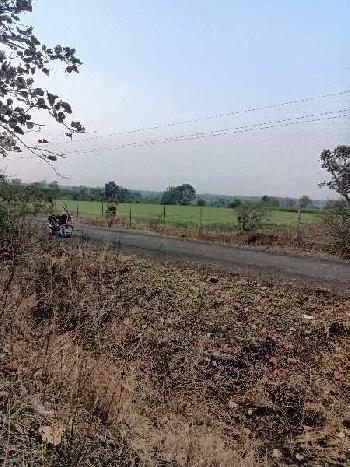 11 Acre Agricultural/Farm Land for Sale in Umred Road, Nagpur