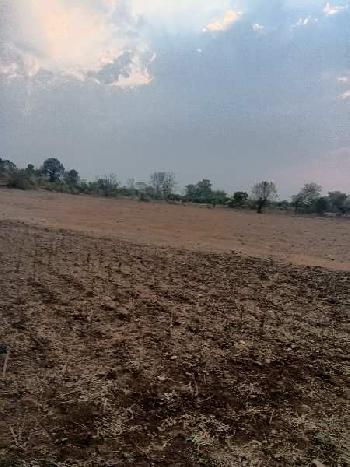 4 Acre Agricultural/Farm Land for Sale in Umred Road, Nagpur