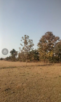 8.5 Acre Agricultural/Farm Land for Sale in Narkhed, Nagpur