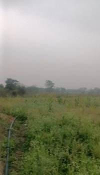 2 Acre Agricultural/Farm Land for Sale in Umred, Nagpur
