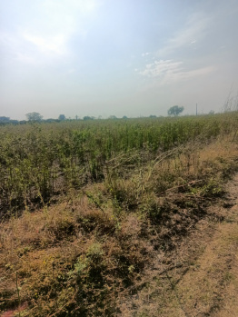 2 Acre Agricultural/Farm Land for Sale in Butibori, Nagpur