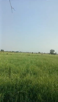 Property for sale in Hingna, Nagpur