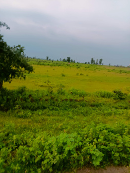 Property for sale in Katol, Nagpur