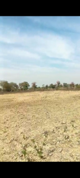 Agriculture belt selling for Wardha road Nagpur