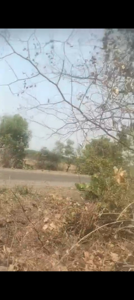 Agricultural/Farm Land for Sale in Borgaon, Nagpur (3 Acre)
