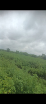 Property for sale in Seloo, Wardha