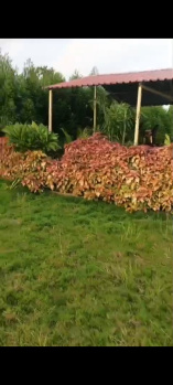 Property for sale in Saoner, Nagpur