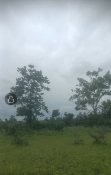 Agriculture belt mauja jatamzari teh Katol district nagpur