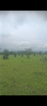 Property for sale in Katol, Nagpur