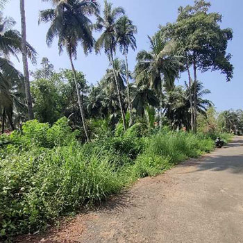 3500 Sq. Meter Commercial Lands /Inst. Land for Sale in Verna, Goa