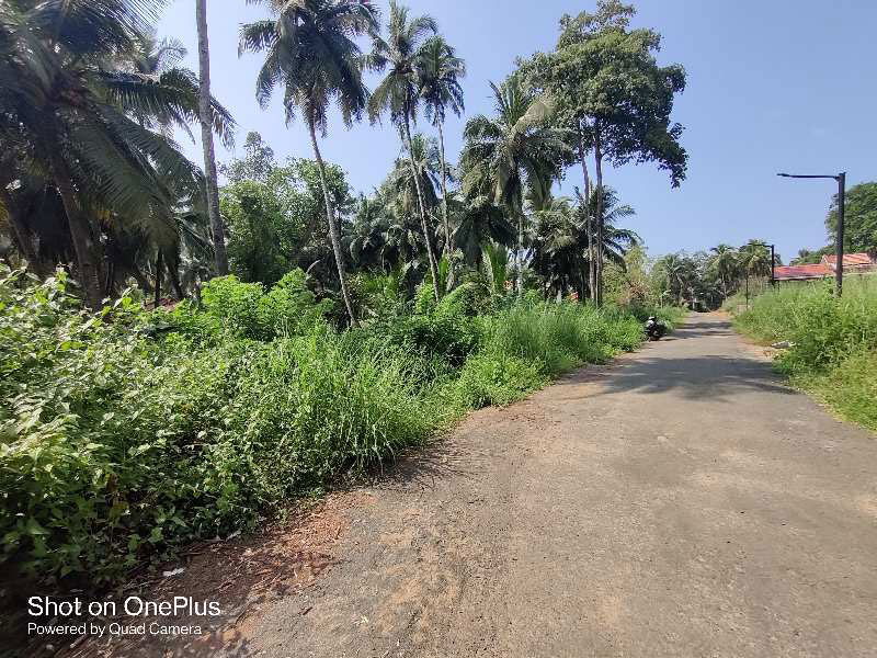 3500 Sq. Meter Commercial Lands /Inst. Land For Sale In Verna, Goa