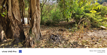 Property for sale in Carmana, Goa