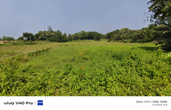 3700sq agriculture land near beach