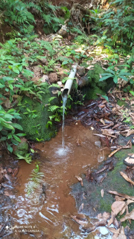 Agricultural/Farm Land for Sale in Quepem, South Goa, Goa (50252 Sq. Meter)