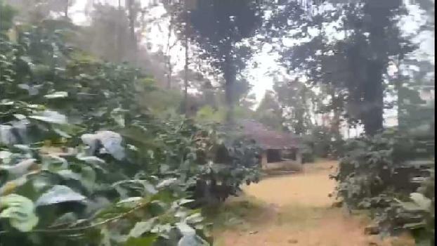 10 Acre Agricultural/Farm Land for Sale in Madikeri, Kodagu