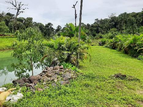115 Acre Commercial Lands /Inst. Land for Sale in Madikeri, Kodagu