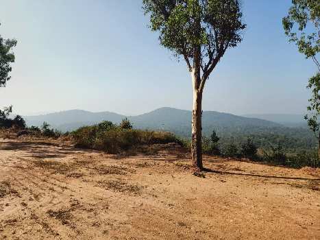 160 Cent Commercial Lands /Inst. Land for Sale in Madikeri, Kodagu