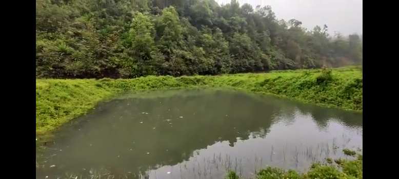 Property for sale in Madikeri, Kodagu