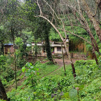 Property for sale in Mulleria, Kasaragod