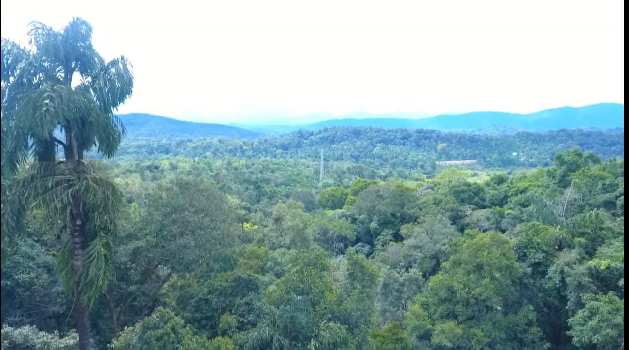 5 acres form land for sale  in Madikeri (Kodagu)