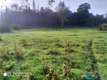 Residentaial Land for sale at Virajpet, Coorg.