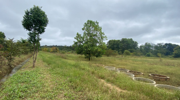Property for sale in Madikeri, Kodagu