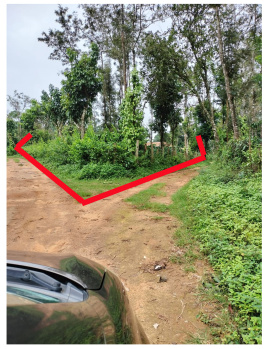 5 acres agriculture land for sale in Virajpet ( Coorg )