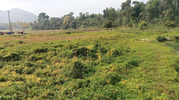 Property for sale in Virajpet, Kodagu