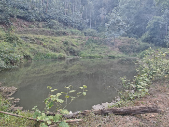 13 acres agriculture land with Farm House for sale in Madikeri ( Coorg )