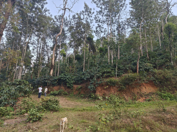 Property for sale in Madikeri, Kodagu