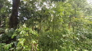 Property for sale in Madikeri, Kodagu