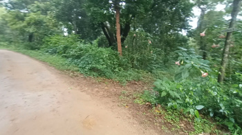 17 acres Coffee land for sale in Madikeri ( Coorg )