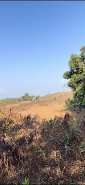 3 Acres Land For Sale In Madikeri (Coorg)