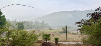2.3 Acres Land for Sale in Madikeri (Coorg)