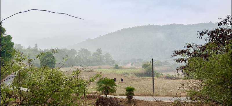 2.3 Acres Land For Sale In Madikeri (Coorg)