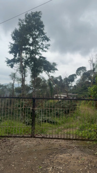 9.5 acres Prime Agriculture Land for Sale in Madikeri (Coorg)