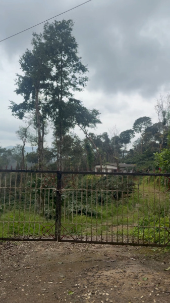 9.5 Acres Prime Agriculture Land For Sale In Madikeri (Coorg)