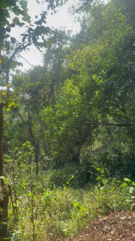 Property for sale in Madikeri, Kodagu