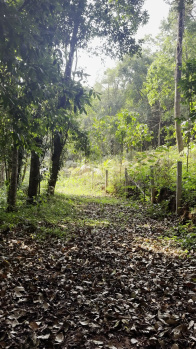 4.6 Acres Agriculture Land for Sale – Madikeri (Coorg)