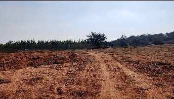 6 Acre Agricultural/Farm Land for Sale in Ramayampet, Medak