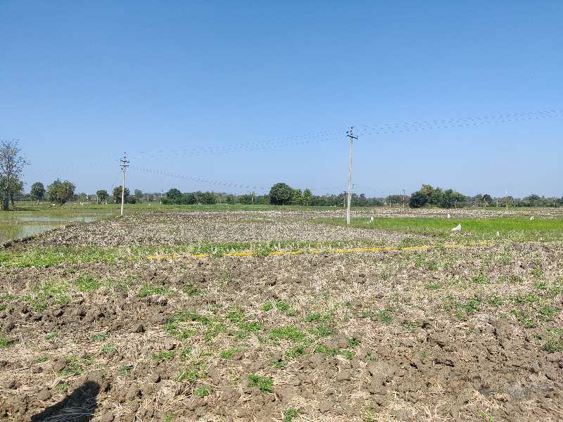 2 Acre Agricultural/Farm Land for Sale in Kamareddy