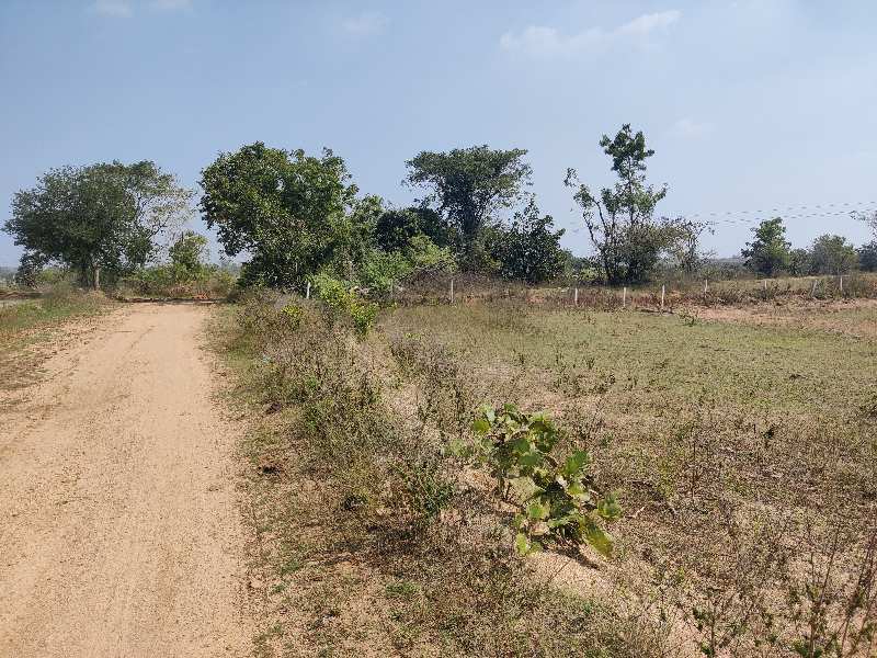 50 Guntha Agricultural/Farm Land For Sale In Domakonda, Nizamabad