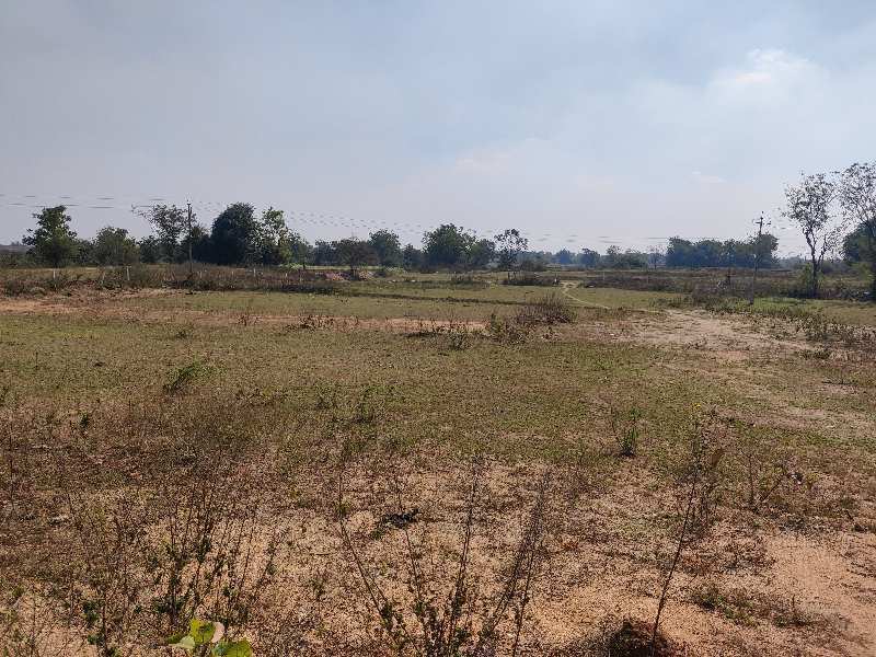 50 Guntha Agricultural/Farm Land for Sale in Domakonda, Nizamabad
