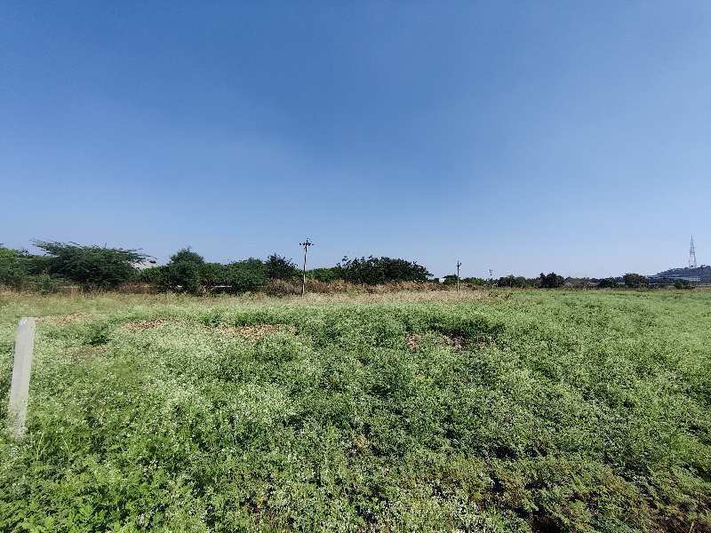 4 Acre Agricultural/Farm Land for Sale in Sadashiva Nagar, Nizamabad