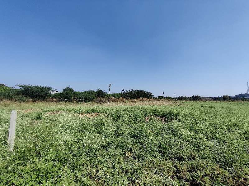 4 Acre Agricultural/Farm Land for Sale in Sadashiva Nagar, Nizamabad