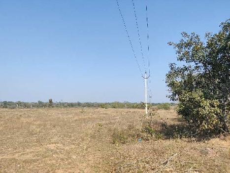 Property for sale in Bhiknoor, Nizamabad