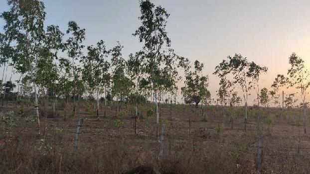Property for sale in Tadwai, Nizamabad