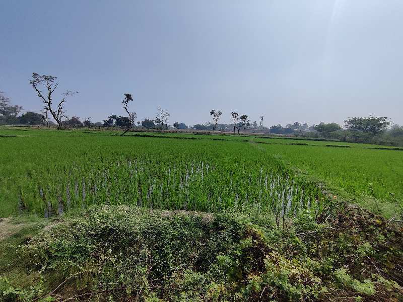 1.40 Acre Agricultural/Farm Land for Sale in Domakonda, Nizamabad