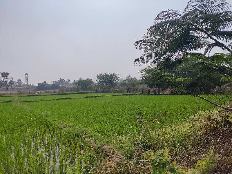 1.40 Acre Agricultural/Farm Land for Sale in Domakonda, Nizamabad